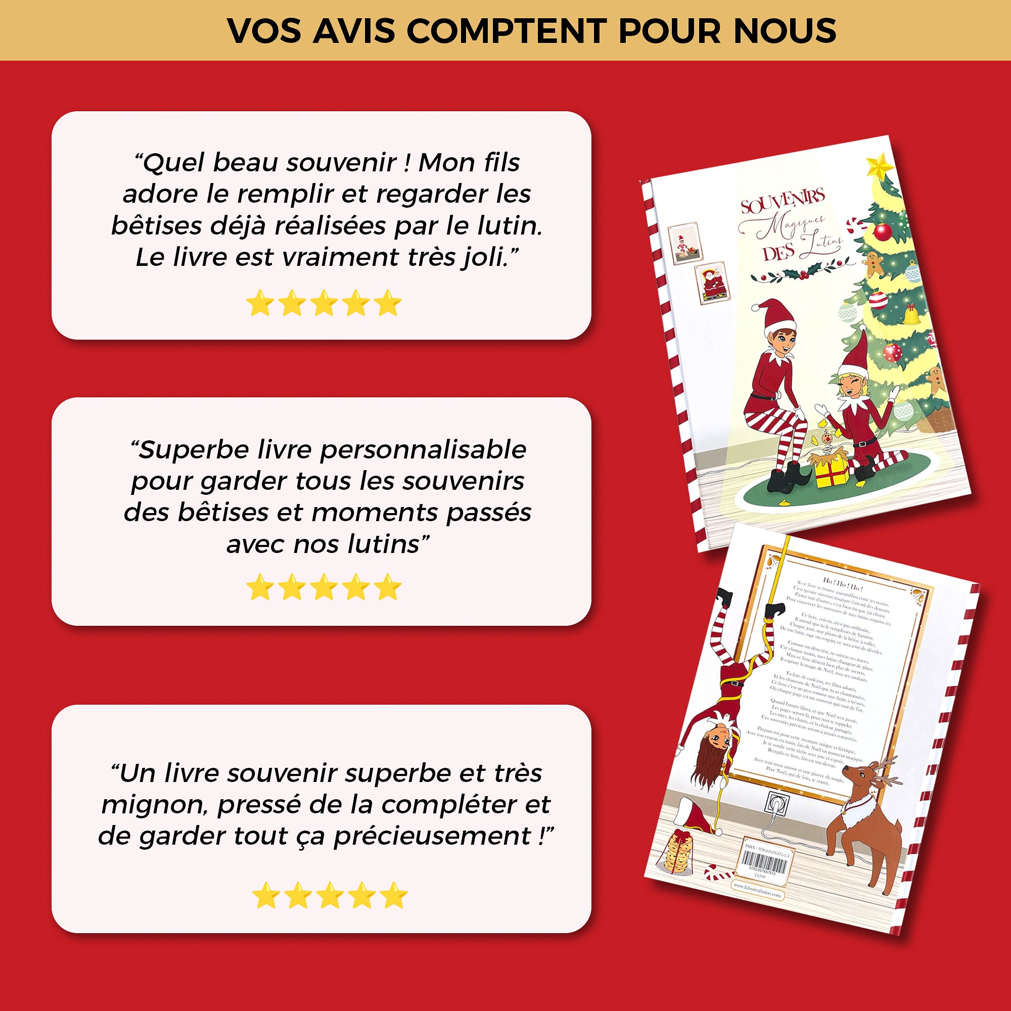 livre lutin farceur