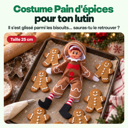 Costume Lutin Farceur Pain d'Épices : Il s'est glissé parmi les biscuits… sauras-tu le retrouver ?