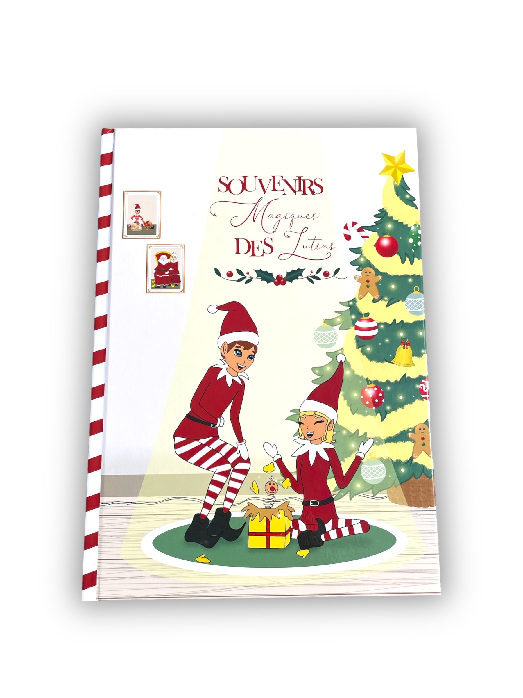 livre lutin farceur
