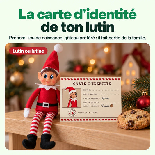 Carte d'identité Lutin Farceur : La carte d'identité de ton lutin