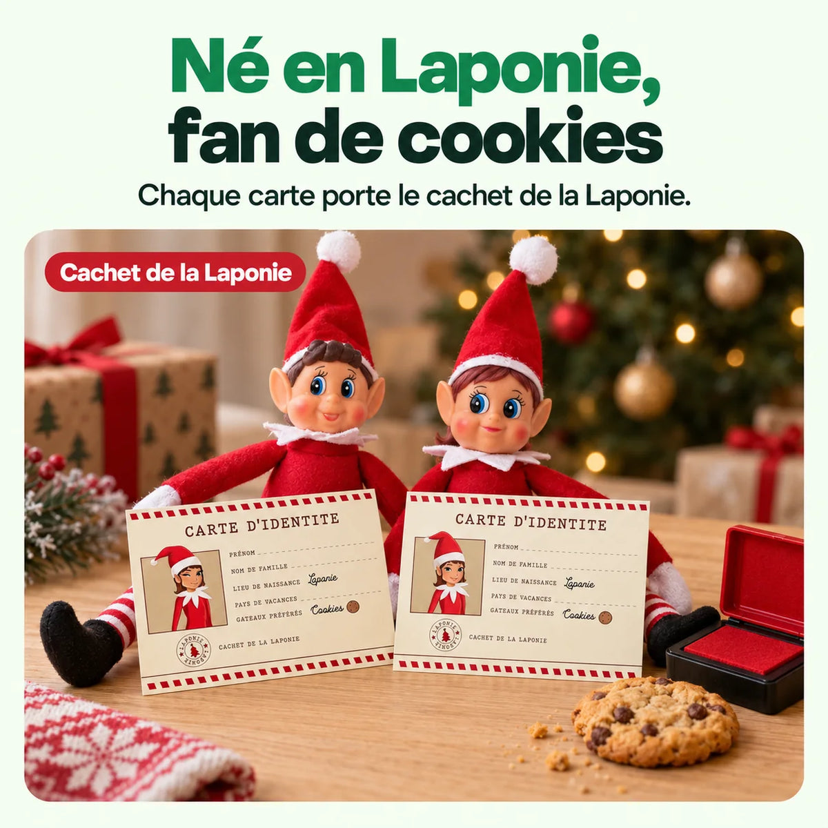 Carte d'identité Lutin Farceur : Né en Laponie, fan de cookies