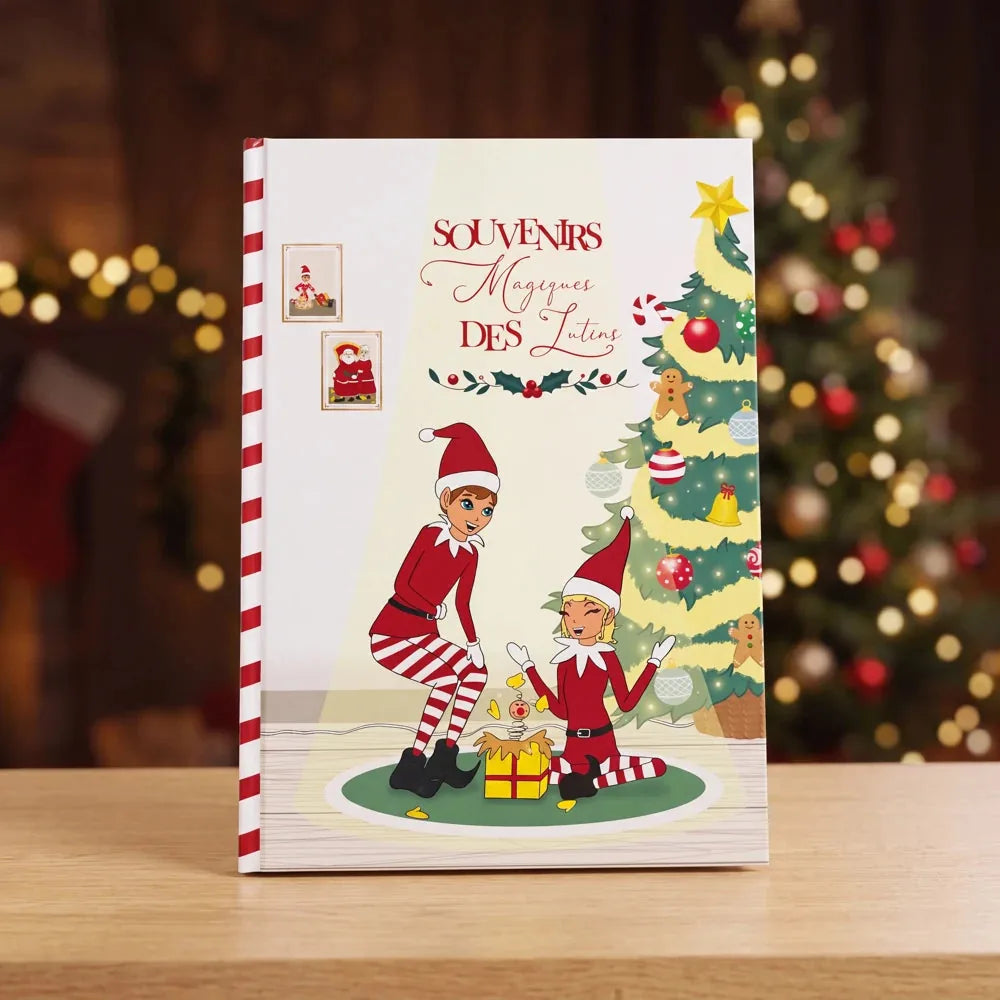 Livre souvenirs des bêtises Lutin Farceur