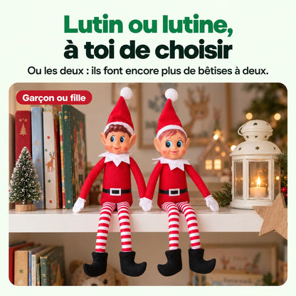 Lutin Farceur : Lutin ou lutine, à toi de choisir