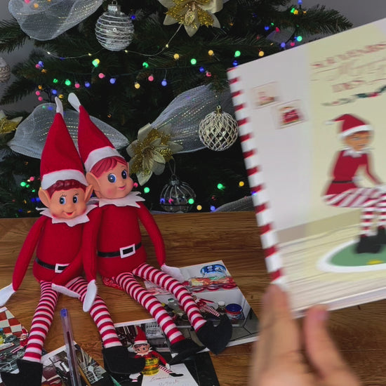 livre lutin farceur