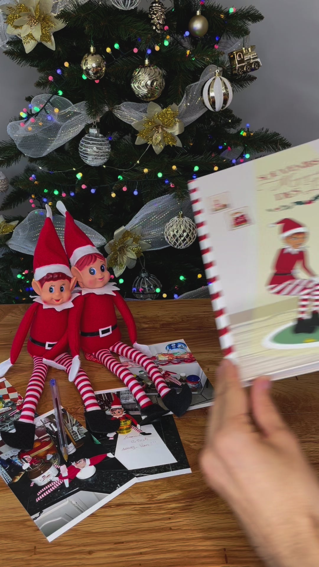 livre lutin farceur